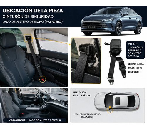 807562-MLM115694463572_092026