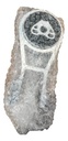 611176-MLM87801265645_072025
