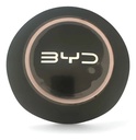 Modulo De Airbag Del Conductor Byd Dolfin Mini